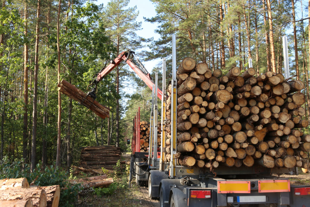 O transporte florestal é visto como um grande atrativo para as empresas que operam no setor logístico